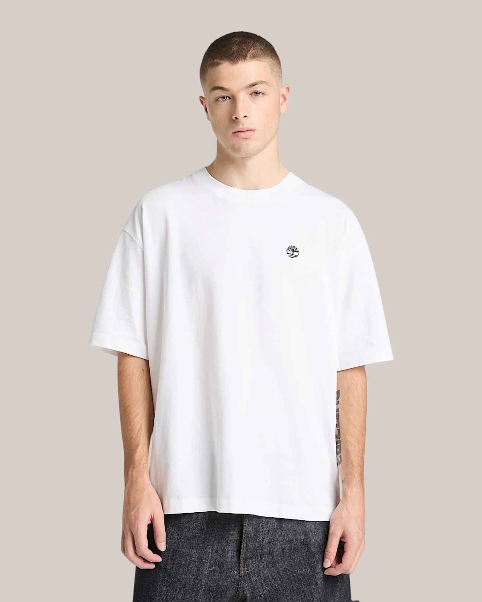 T-Shirt Relaxed Fit Dunstan River Tee Bianco TB0A6GH3 100 Timberland